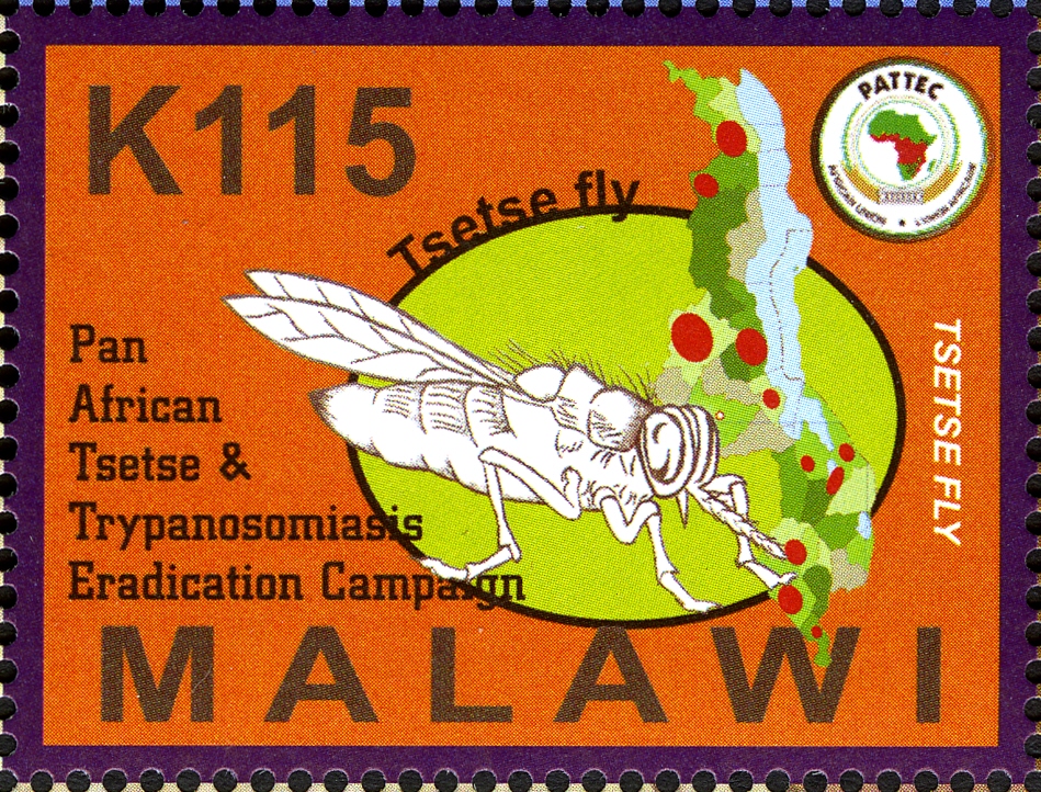 Картинки по запросу Tse-tse on postage stamps