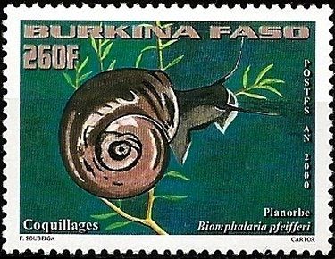 Картинки по запросу Biomphalaria snails on postage stamps