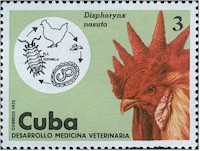 Картинки по запросу schistosomiasis on postage stamps