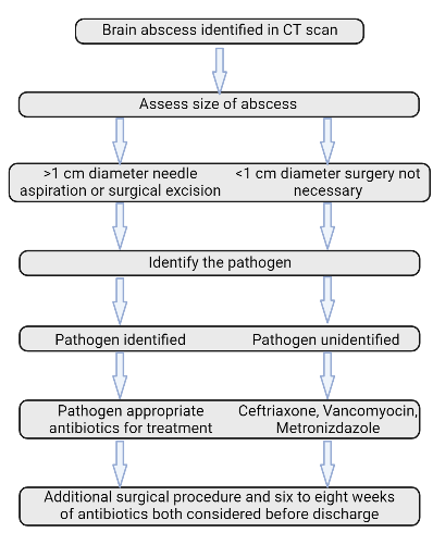 Diagram
Description automatically generated