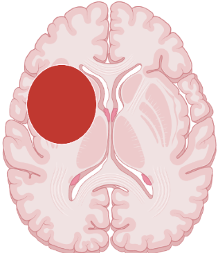 A picture containing vector graphics
Description automatically generated
