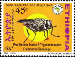 Картинки по запросу Tse-tse Fly on postage stamps
