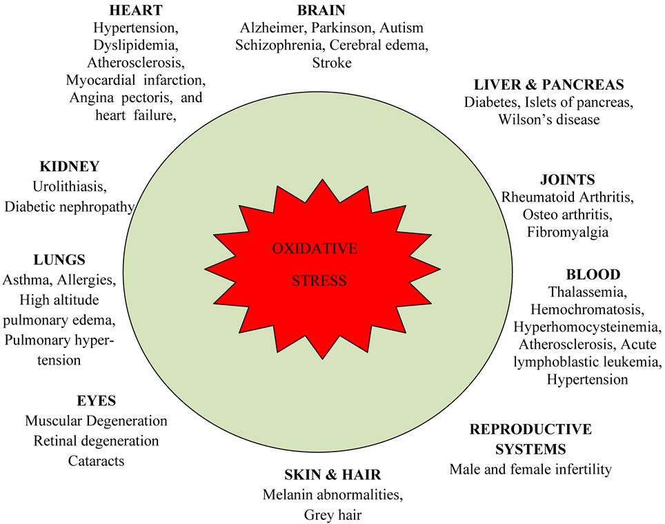 Oxidative stress and human health