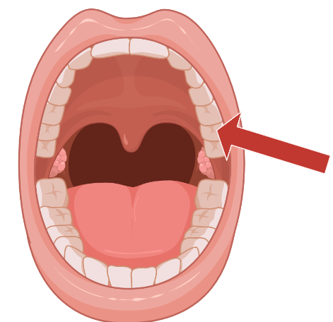 Icon
Description automatically generated