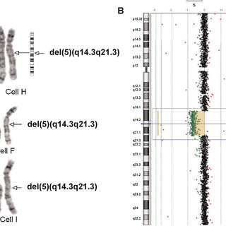 PDF) Interstitial Deletion 5q14.3q21.3 With MEF2C Haploinsufficiency and Mild Phenotype: When More Is Less